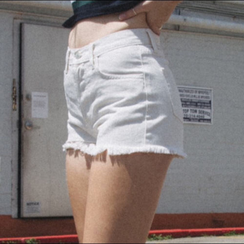 NWOT brandy melville lisa shorts